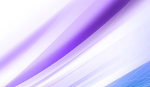 完全解锁版本的免费轰炸网页版